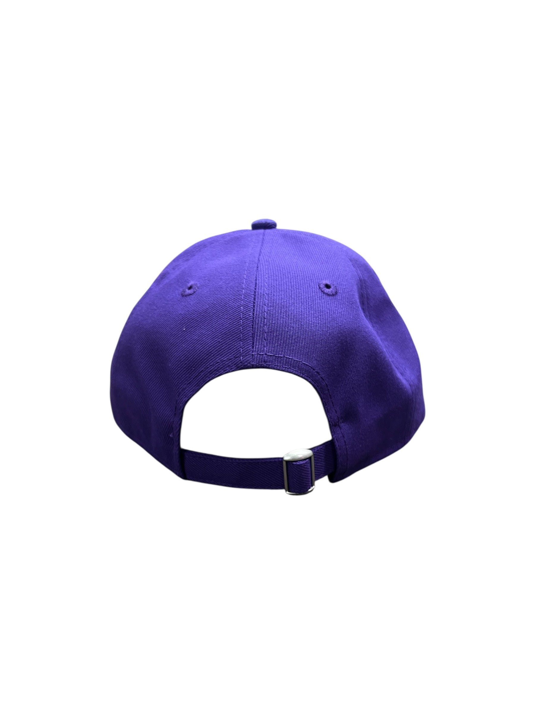 Skiers New Era 9TWENTY Hat 1