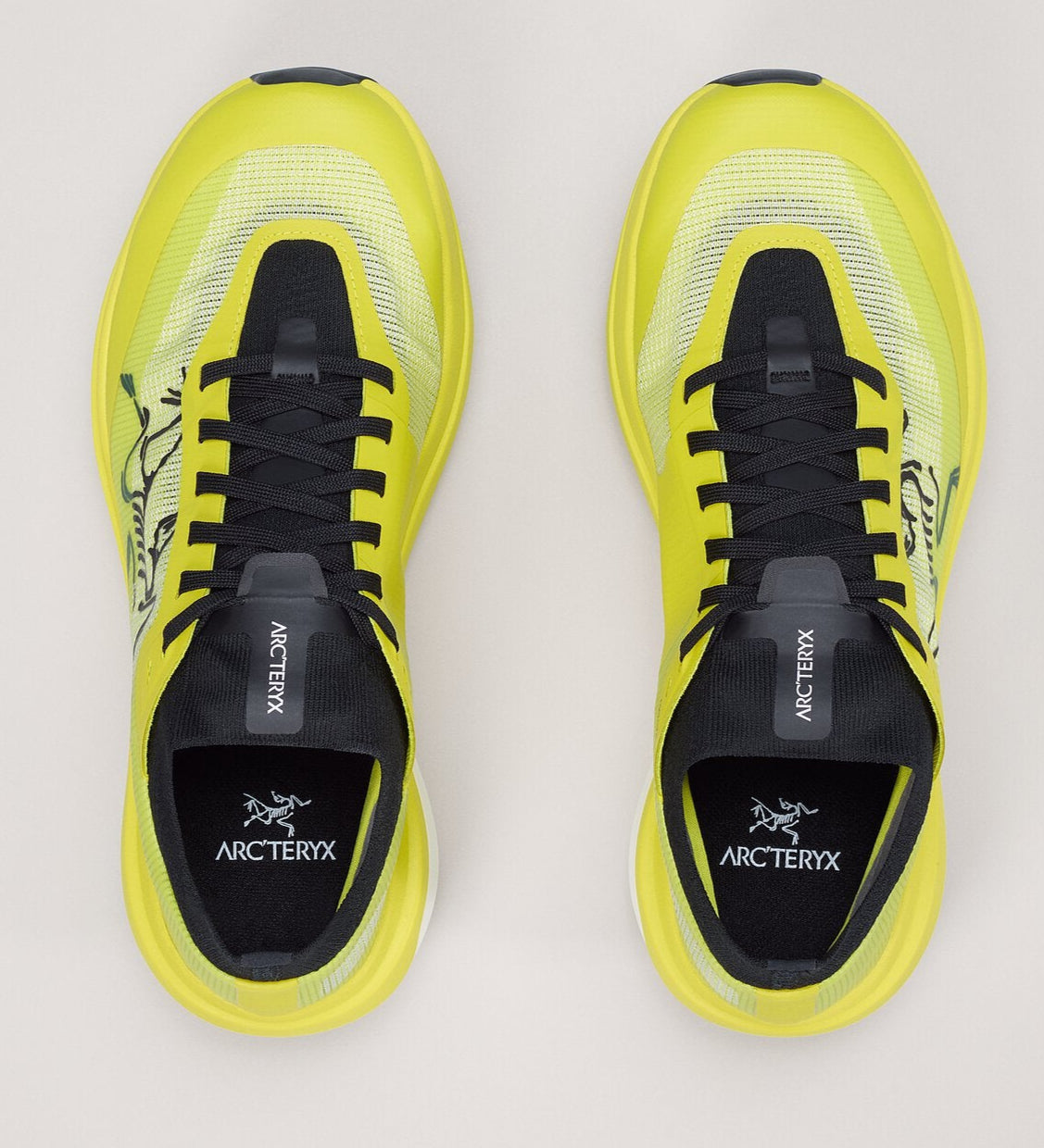 Arc'teryx Womens Sylan Pro Shoe