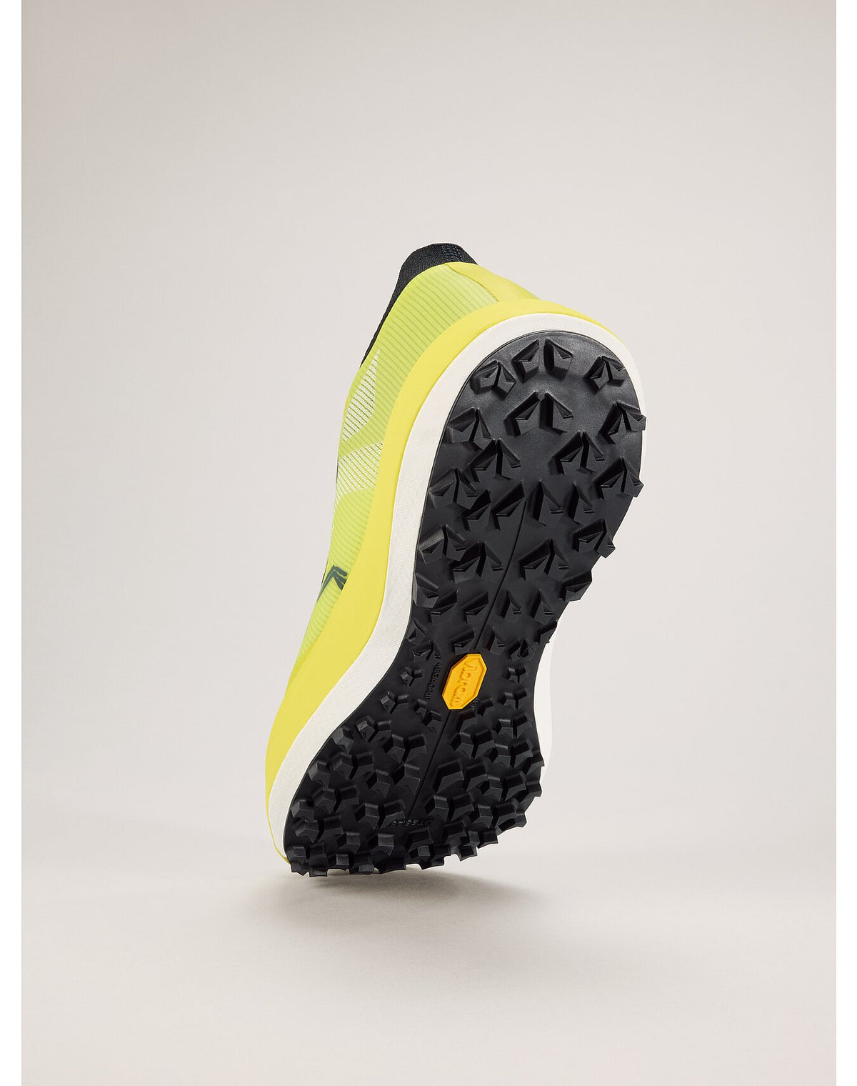 Arc'teryx Womens Sylan Pro Shoe