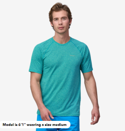 Patagonia Mens Ridge Flow Shirt
