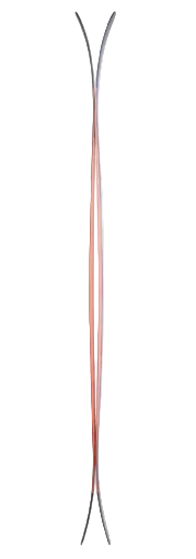 Dynastar M-Free 100 Skis 2026/27