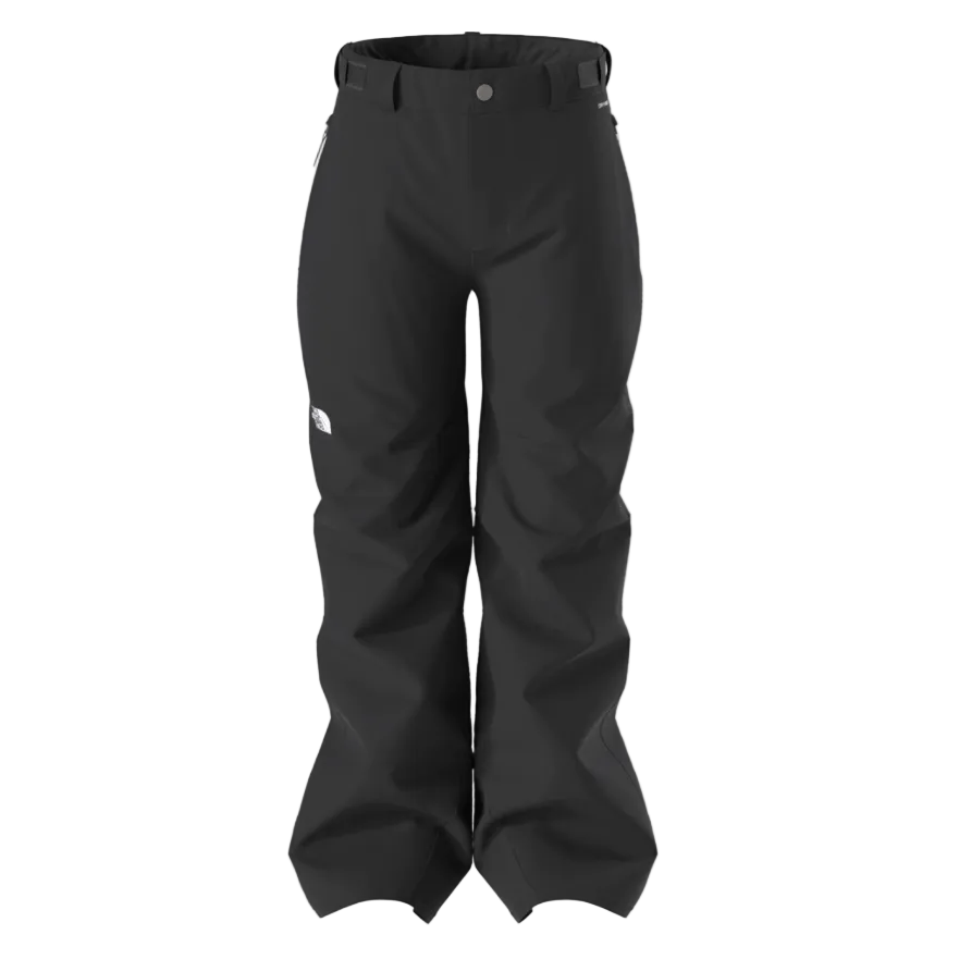 The North Face Boys Freedom Insulated Pant