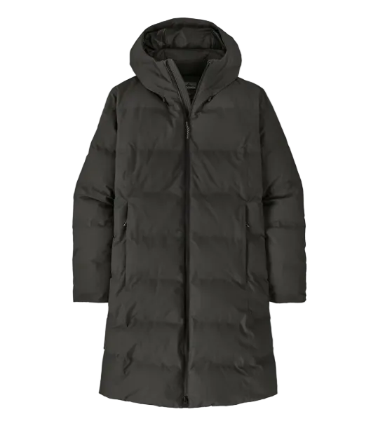 Patagonia Womens Jackson Glacier Parka