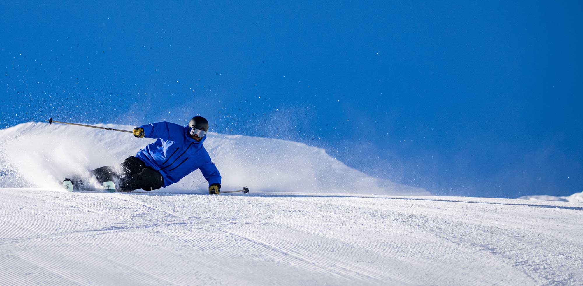 Ski Poles