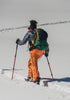 BCA Scepter 3S Adjustable Poles