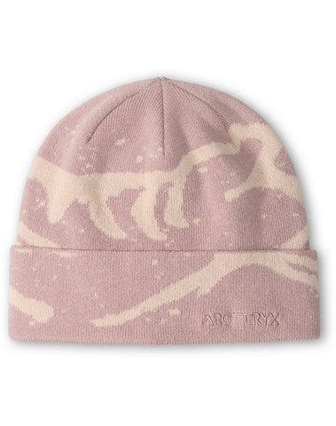 Arc'teryx Grotto Toque