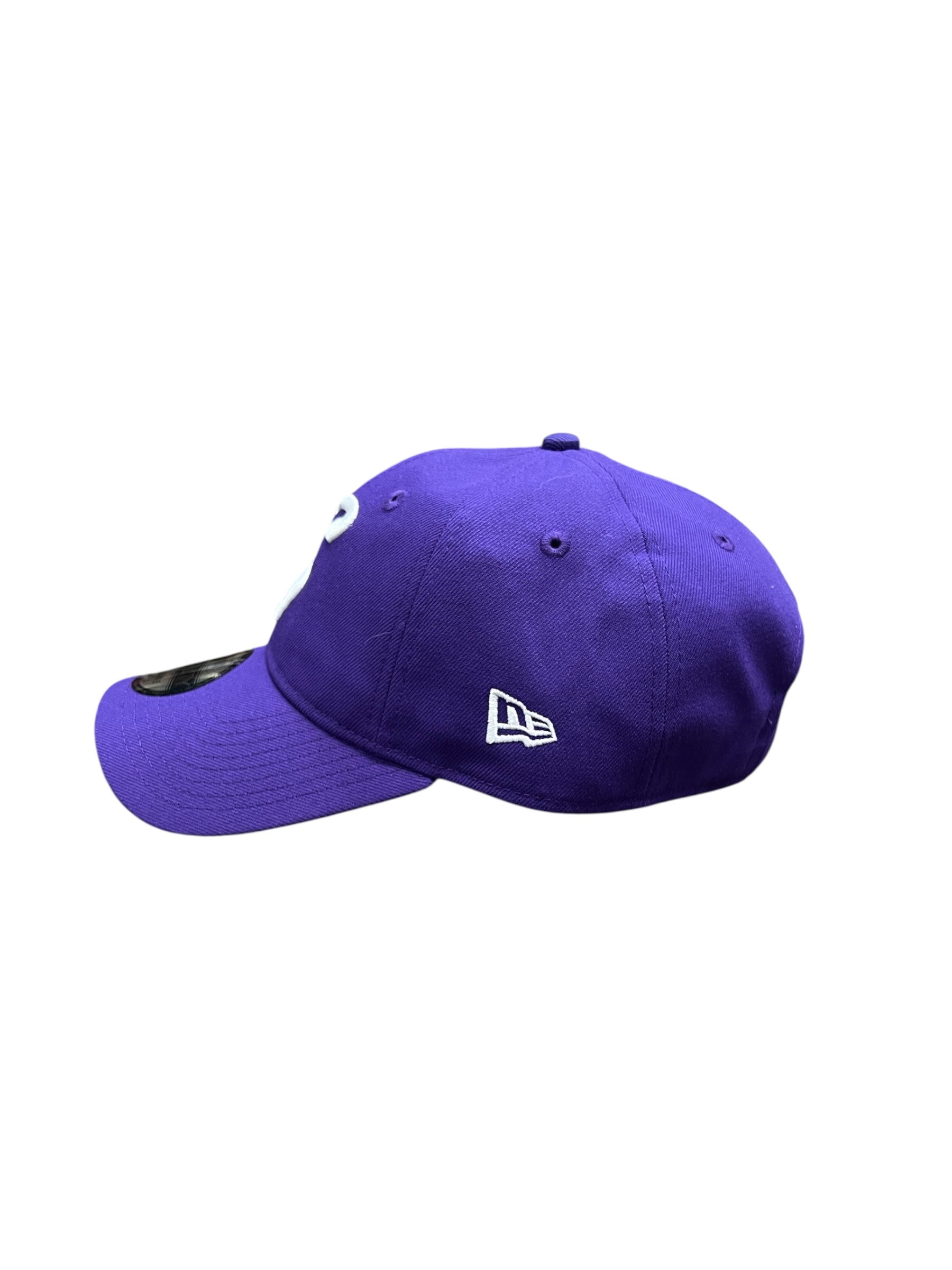 Skiers New Era 9TWENTY Hat 1