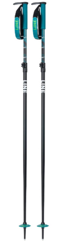 LINE Paintbrush Adjustable Poles