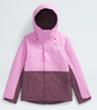 The North Face Women's Freedom Jacket