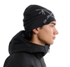 Arc'teryx Lightweight Bird Head Toque