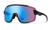 Smith Wildcat Sunglasses