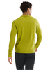 Arc'teryx Men's Cormac Logo LS