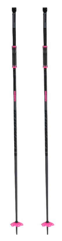 Armada Legion Ski Poles
