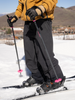 Armada Legion Ski Poles