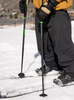 Armada Legion Ski Poles