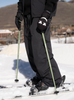 Armada Triad Ski Poles