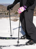 Armada Triad Ski Poles