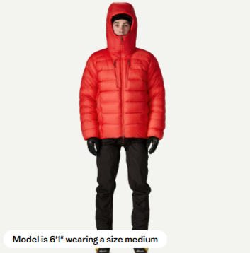 Patagonia Grade Vii Down Parka