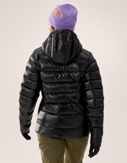Arc'teryx Women's Cerium SV Hoody
