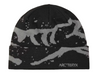 Arc'teryx Grotto Toque