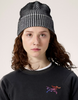 Arc'teryx Ribbed Toque