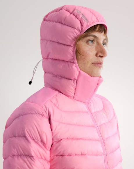 Arc'teryx Women's Cerium Hoody