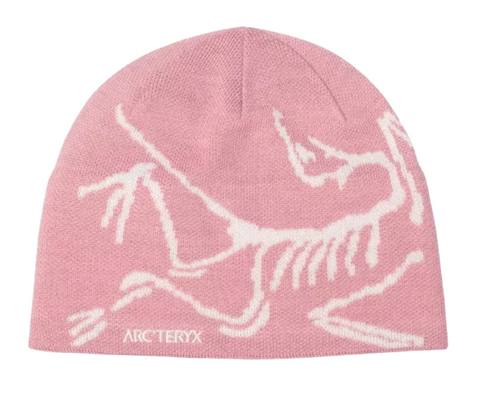 Arc'teryx Bird Head Toque