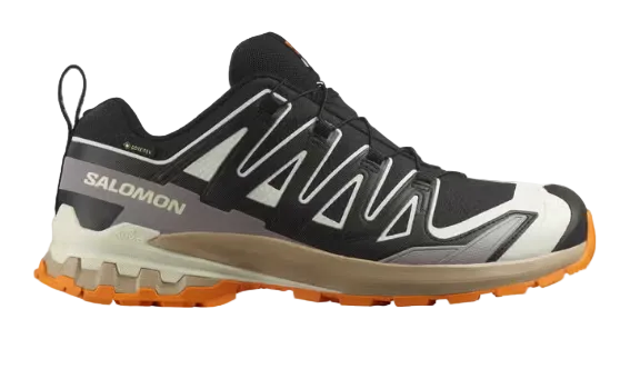 Salomon XA Pro 3D V8 GTX Mens