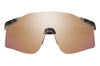 Smith Defy Sunglasses