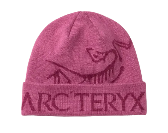 Arc'teryx Bird Word Toque