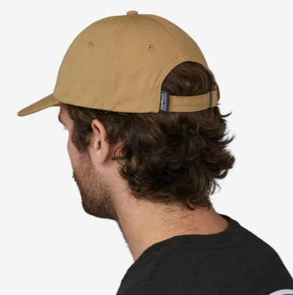 Patagonia Fitz Roy Icon Trad Cap